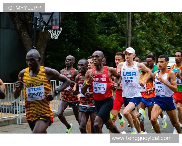 广州飞盘队耐力对比分析揭秘运动员训练与比赛表现的关系