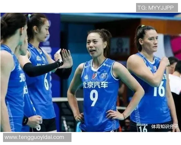 上海排球队力量争议引发热议球迷与专家观点交锋分析